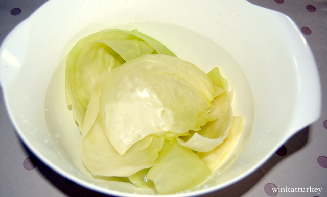 Cooked cabbage leaves