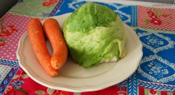 Iceberg lettuce and carrots